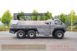 6WD Desert Sightseeing Vehicle–East Scenic Area Special Desert Vehicle–Customized Model Manufacturer