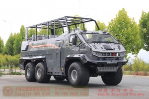 6WD Desert Sightseeing Vehicle–East Scenic Area Special Desert Vehicle–Customized Model Manufacturer