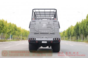 6WD Desert Sightseeing Vehicle–East Scenic Area Special Desert Vehicle–Customized Model Manufacturer