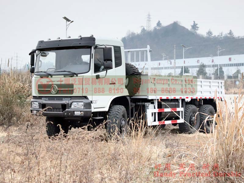 6*6 260-33 Yuchai Engine Off-road Transportation Truck III Application